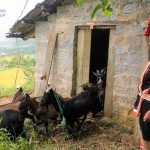 Nghị quyết 06 – Thu hẹp khoảng cách vùng miền